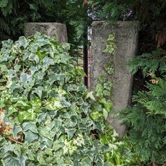 石柱·石碑のようなもの5本
