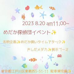 めだか掬いタイムアタック開催✨