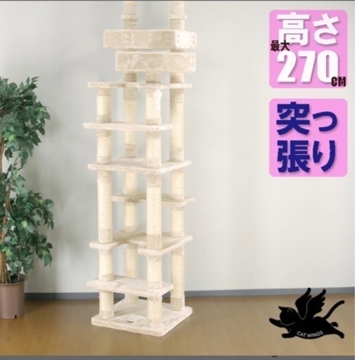 キャットウォーク最終値下げ13000➡️10000