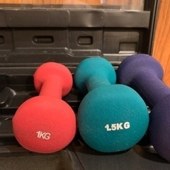 ダンベル 鉄アレイ カラフル ANDY 合計 8kg 筋トレの画像