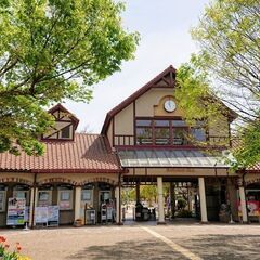 ウィンドウアートを描いていただける方を募集！！ − 兵庫県