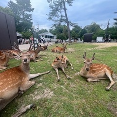 愚痴聞きます　30分100円