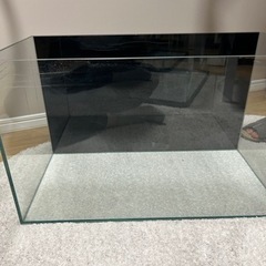背面ブラックGEX60水槽