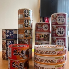 缶詰　20個セット
