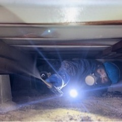 シロアリ防除の補助作業！の画像
