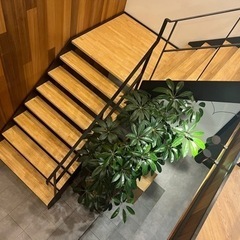 シロアリ防除の補助作業！