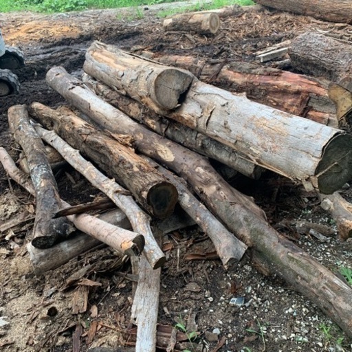 推定2トン分の原木