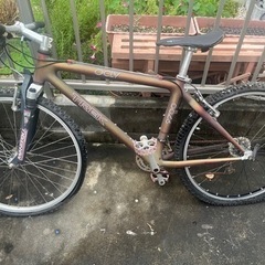 マウンテン　自転車　トレック