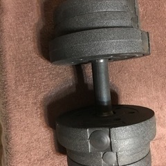 ダンベル10キロ　一本