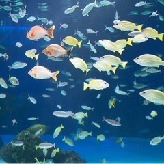 9/17神戸水族館🐠とビアガーデン🍻