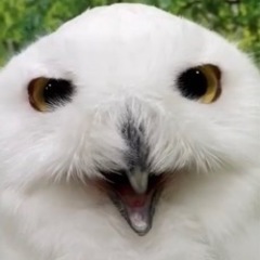 DOUTORでお話ししませんか？