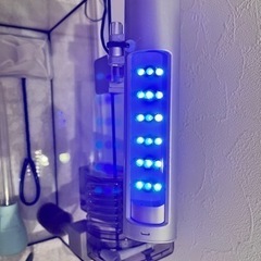 コトブキ小形水槽セットの画像