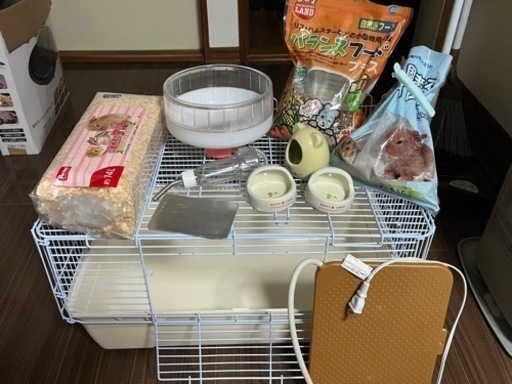 ハムスター　飼育セット