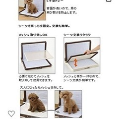 【お話中です】　ペット用　L型トイレトレー　2個の画像