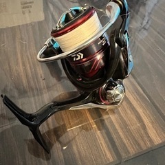 Daiwa 月下美人　最終値下げ❗️の画像