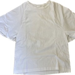 白Tシャツ　丸首　Mサイズ