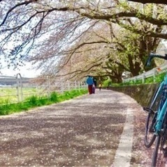 ‍🚴🏻【サイクリング仲間募集！】🚴🏻✨  部員31名