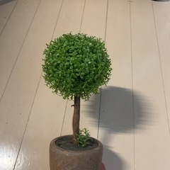 観葉植物　フェイク　造花