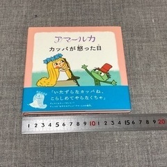 【絵本】アマールカの絵本3冊セットの画像