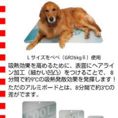 クールボード