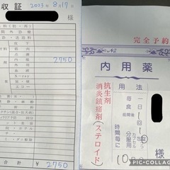 2023.８月保護活動報告&随時募集の画像