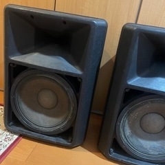 差し上げます。EV SX-300 ペア