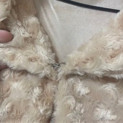 ボレロの画像