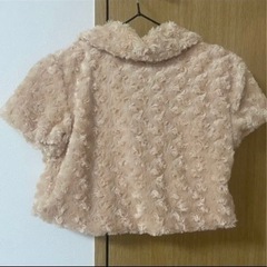 ボレロの画像