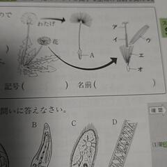 要点指導書の画像