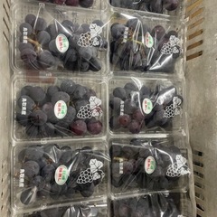 種無し巨峰限定100パックありますの画像