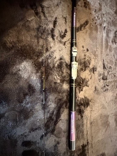 Daiwa 飛竜　210