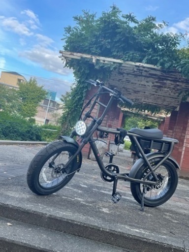 電動アシスト（ロカフレーム）