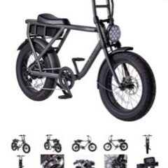 電動アシスト（ロカフレーム）