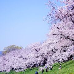 一緒に写真撮りに行きませんか？