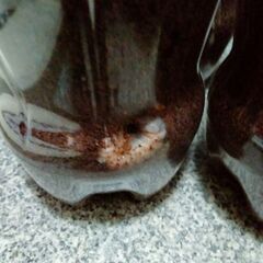カブトムシの幼虫