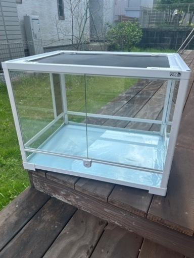 爬虫類ケージパンテオンカノン