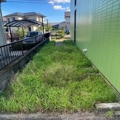 草刈りを手伝って頂けませんか？