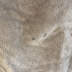 薄手のラグ　シミありの画像