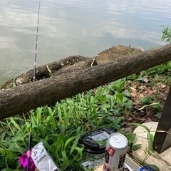 9月10日13時〜浮間公園釣り飲み