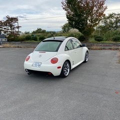 決まり物のニュービートルの画像