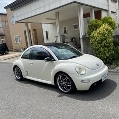 決まり物のニュービートルの画像