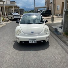 決まり物のニュービートル