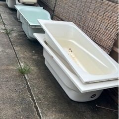 浴槽、農家、メダカ、養殖、金魚、鯉、水槽、いかがでしょうか。の画像