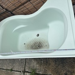 浴槽、農家、メダカ、養殖、金魚、鯉、水槽、いかがでしょうか。の画像