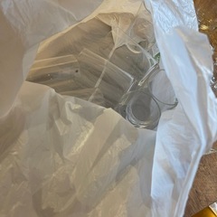 今日まで！！の画像