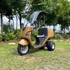 整備済! 即納!! ２ｓｔ ジャイロキャノピー ミニカー登録 オールペイントカスタムの画像