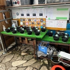 8月19日、20日の画像