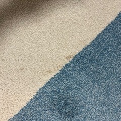 カーペット 240×190の画像