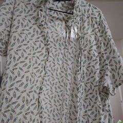 Mango  メンズアイスクリームシャツの画像