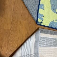 玄関マットとキッチンマット？のセットの画像